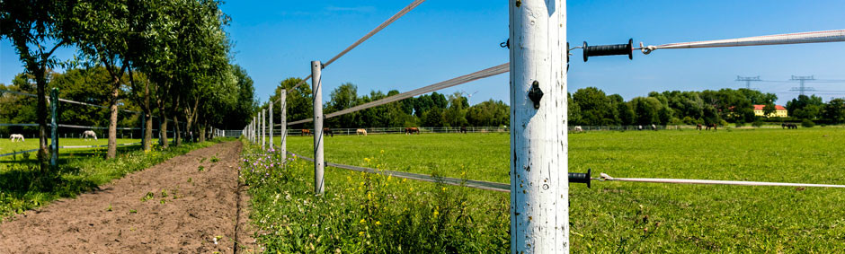 Electric Fencing Energisers Livestock