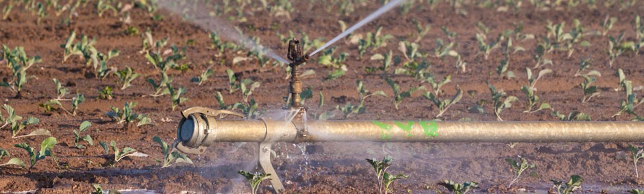 Recycled Water Pump Irrigation Livestock